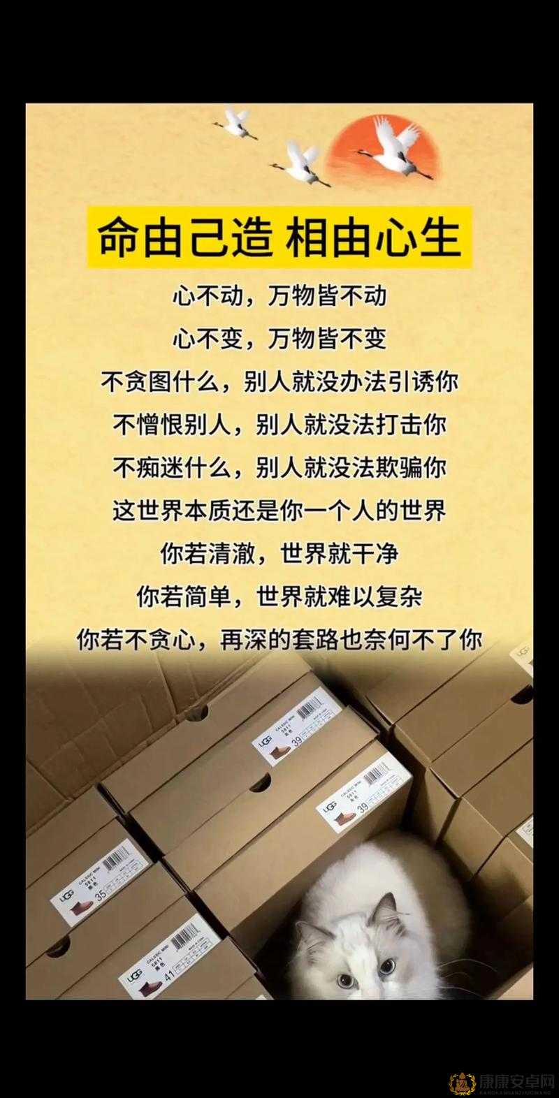 我会以慢慢的、很温柔的方式去生活去做事